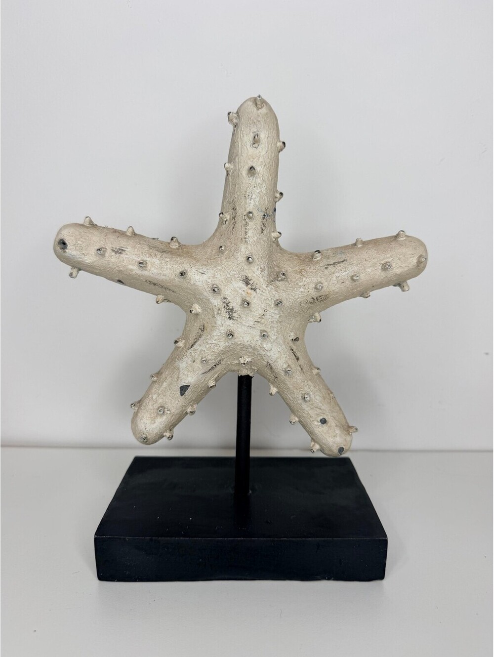 Decorative starfish sculpture on museum stand